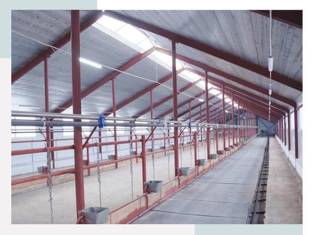 Строительство коровников в Одинцово от 621 руб.