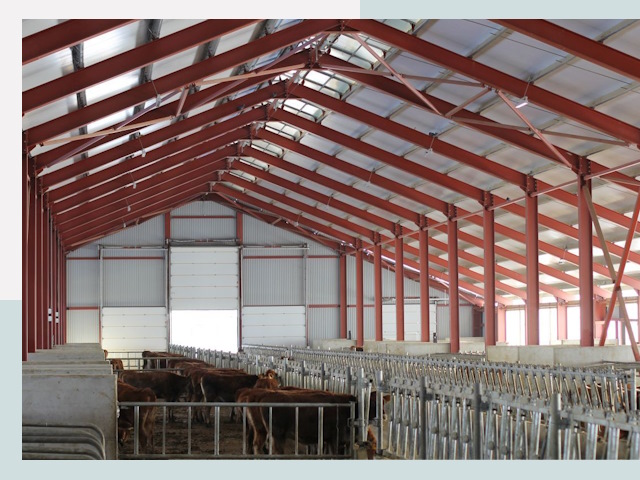 Строительство коровников в Одинцово