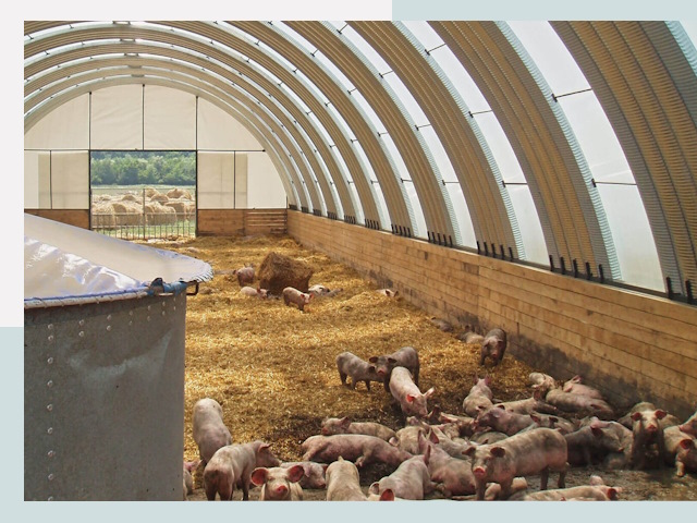 Строительство свинарников в Одинцово