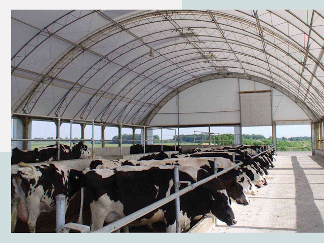 Тентовые коровники в Одинцово